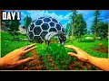Download Lagu Making Fist Full Of Money By Growing Trees in This Oddly Addictive Game - My Money Grows On Trees