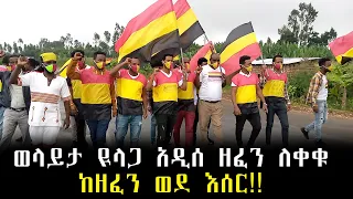 Wolayta New Music ወላይታ ዪላጋ ለእስር የተዳረጉበት አዲሰ ዘፈን Buze Buche Wolaita Yelaga 