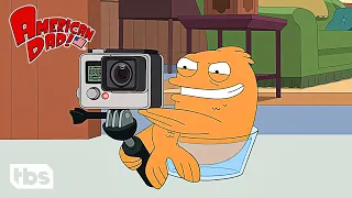 everyone being mean to klaus for 11 minutes straight american dad tbs