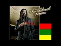 Lucky Dube - Nobody Can Stop Reggae