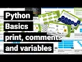 Python Basics print comments and variables