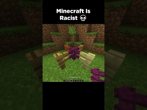 Minecraft Verity Moment