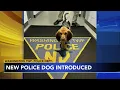 Meet Red New Jersey police introduce new K9