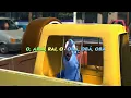 Rio - Mas Que Nada (By: Sergio Mendes) (Subtitulado Español, Ingles) (Letra/Lyrics)