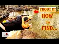 How To Find Trout In Pa Stocked Waters