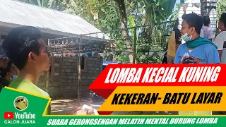 lomba kecial kuning kekeran batulayar