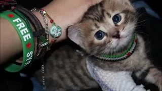 ماتم صاحبا في هذا الزمن صحبته لله محروس الشغري سمعها