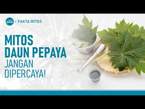 Ketahui Fakta Dibalik Segudang Manfaat Daun Pepaya