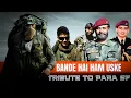 Download Lagu Tribute to PARA SF | Bande Hai Hum Uske | Military Motivational #shorts
