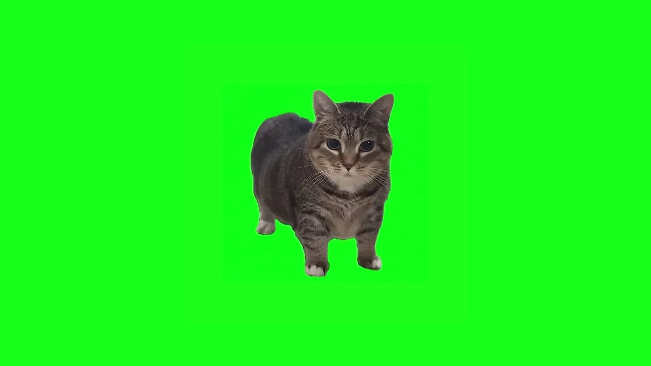 Video 1