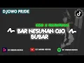 Lagu DJOWO PRIDE~DJ BAR NESUNAN OJO BUBAR 'EGO' X MENIMISU ENAKEUN