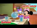Download Lagu Mickey Mouse Doldwaze Avonturen | 🥳 Het Snoozy Doozy Huisdieren Lunch | Disney Junior BE