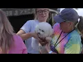 City partners with Humane Society of St Lucie County Petco for free pet vaccine clinic