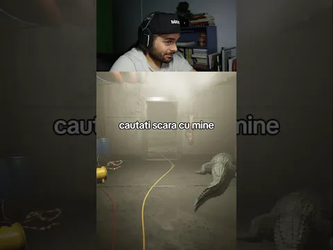 E un câine ciudat la mine în beci