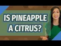 Is pineapple a citrus