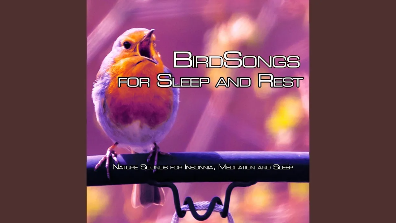 Morning Birdsong (with Nature Sounds) Morning Birdsong (with Nature Sounds)