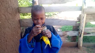 chief nyihocha umasikini ngoreme video production 0769406641