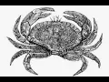 Sex the Cancer Astrology Sign Zodiac Love Guide