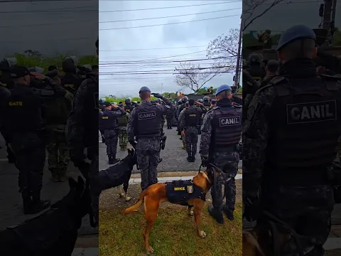 Polícia Militar do Estado de São Paulo também passa pela revista da tropa.