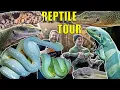 The CRAZIEST Reptile Room Tour Ever with Codyjoe