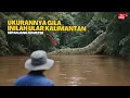 Lagu INI NYATA‼️ Sosok Ular Terbesar di Dunia Tertangkap Kamera di Sungai Pedalaman Hutan Kalimantan...