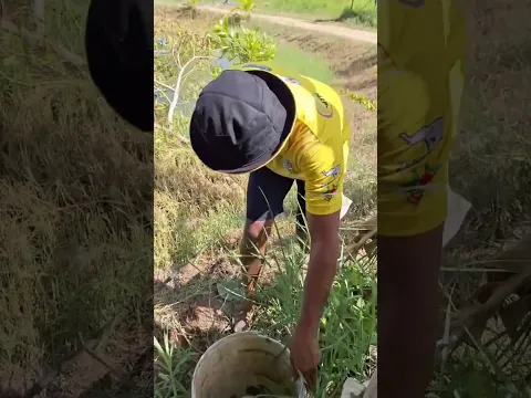 ติดแบบนี้ถึงกับตกใจ กับทีมงานมือโปร #ตกเบ็ด #ตกปลา #fish #fishing #angler