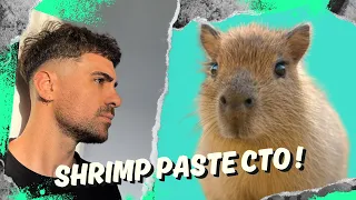 Shrimp Paste ($SHRIMP) – The Meme Coin With Capybara Vibes & Real Community Energy 🦐✨