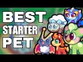The BEST Starter Pet in Prodigy 2024 Must Choose Prodigy Math Game