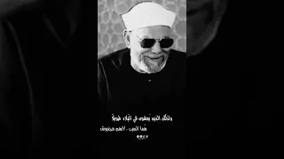 الرضا بقضاء الله الشعراوي 