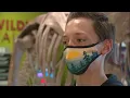 Dinosaur tooth