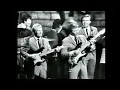 Bobby Fuller Four - I Fought The Law (Stereo Video Clip)