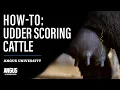 HOW-TO UDDER SCORING CATTLE