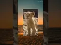 Download Lagu #memes #fypシ #shorts #viral