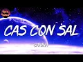 🎵 Reggaeton || Canina - Cas Con Sal (Letra)