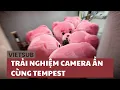 Download Lagu [VIETSUB] Sẽ ra sao nếu bị 7 chú gấu Belly tấn công cùng một lúc (Feat. TEMPEST)