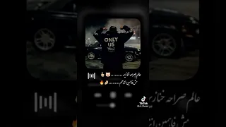 عالم صراحه خنازير     دندنها