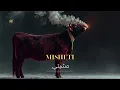 Download Lagu Misheti | مشيتي | Remix | Classical Middle Eastern Hip-Hop Organic SNX