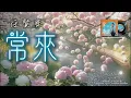 常來 - 任賢齊  (歡迎點歌♪) 卡拉OK字幕 動態歌詞