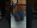 Stylish Modern Squirrel Sculpture 3D Print - Unique Decor