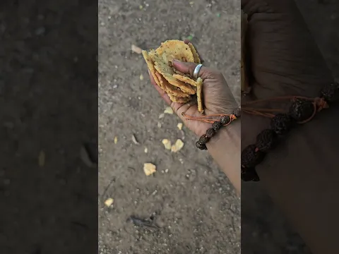 The greatest comfort isn’t just eating well it’s watching hungry souls eat peacefuly from your hands