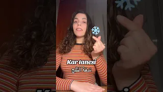 Kar Tanesi ندفة الثلج 