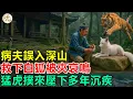 Download Lagu 民間故事：病夫誤入深山，救下白狐被夾哀鳴，猛虎撲來壓下多年沉疾