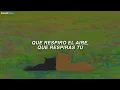 Natalia Lafourcade, Devendra Banhart - Amor, Amor de Mis Amores (Letra)