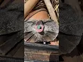 Download Lagu Get a Frilled Dragon They Said…🦎#frilleddragon #lizard #lizards #reptiles #animals #pets #fyp