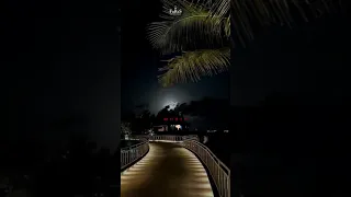 بكره انا لما اظبط حالي اكسبلور تيك توك اغاني اغنية Foryou 