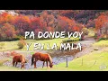 La T y La M - Argentino yo soy (Letra/Lyrics)