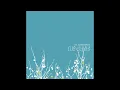 The Shins - New Slang