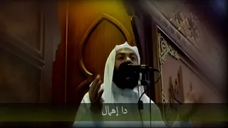 اللي هايحلها لك هو  الوحيد   الله جل جلاله   دقائق لقلبك   الشيخ محمود هاشم دندنها