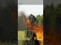 Download Lagu Unos 250.000 soldados rusos han desertado desde el inicio de la invasión a Ucrania, según Pro Asyl