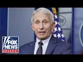 Here s why Fauci should get IMMUNITY Paul Mauro